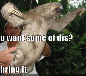 funny-pictures-angry-sloth