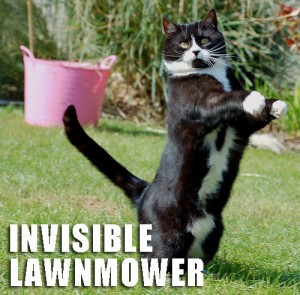 invisible lawnmower