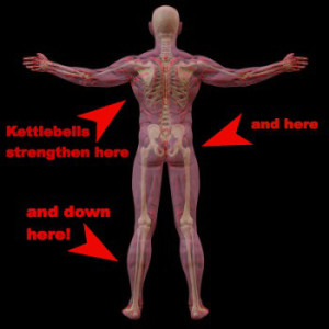 kettlebells-anatomy