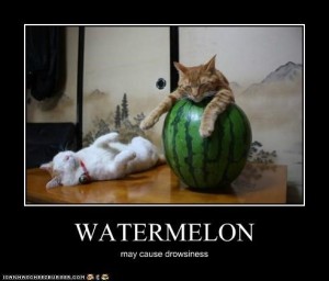 watermelonsleepy